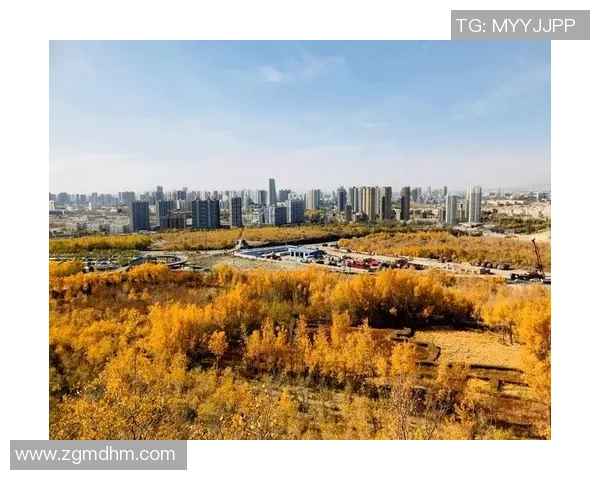 成都极限运动队的阵地战与城市运动文化的崛起探讨